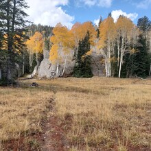 Cary Stephens - Pine Valley Summit Trail Traverse (UT)