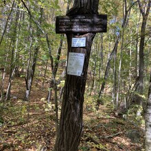 Wayne Chan - MA Appalachian Trail (MA)