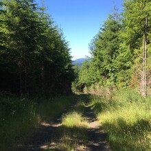 Bryan Beel - Crown-Zellerbach Trail (OR)