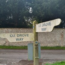 Nick Arini - Oxdrove Way (United Kingdom)