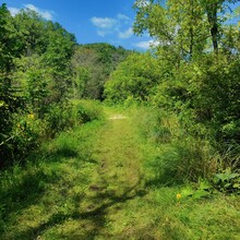 Stephanie Dannenberg - Driftless Horse Trail, Governor Dodge State Park (WI)
