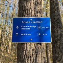 Jamieson Hatt - Great Ontario Loop