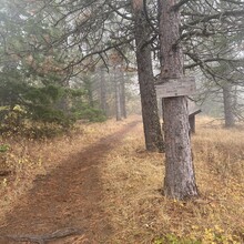 Marta Fisher - Surveyor's Ridge Trail (OR)