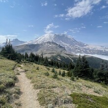Michael Tappel - Mt Rainier Northern Loop Trail (WA)
