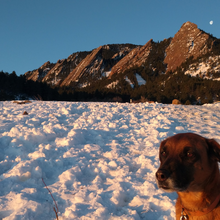Billy and the first 5 flatirons in the winter