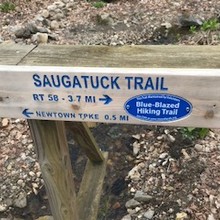 Alan Peck, Brian Vanderheiden / Saugatuck Trail out & back FKT