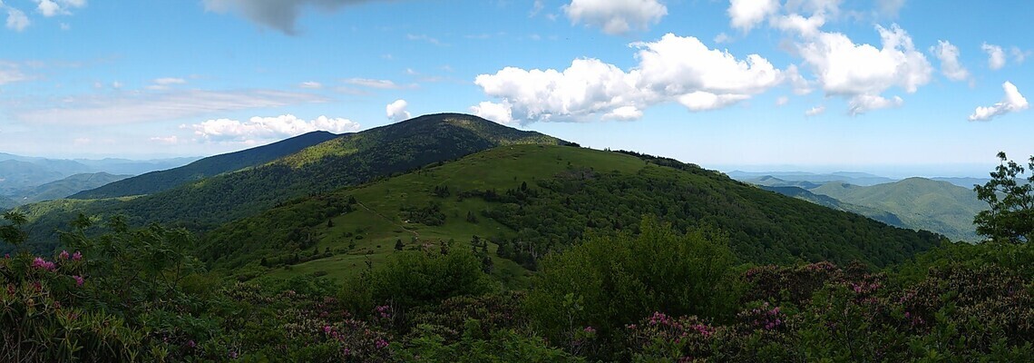 Roan Highlands (NC) section of the Appalachian Trail