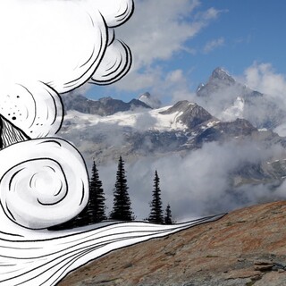 Kelly Halpin - Athlete + Illustrator