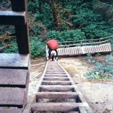 a ladder on the West Coast Trail, BC