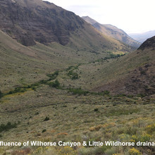 Confluence of Wildhorse Canyon & Little Wildhorse drainage