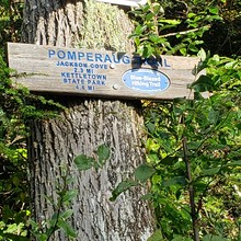 Pomperaug Trail, photo by Kate Gelineau