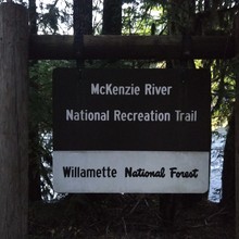 McKenzie River Trail (OR), photo by Matthew Robison