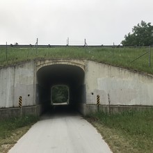 White Pine tunnel