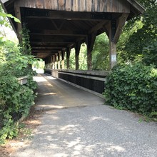 White Pine bridge