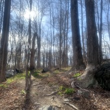 Lillinonah Trail, image by Sarah Connor