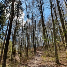 single trail wonderland in Hirschbach valley