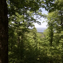 lake ouachita vista trail through the trees