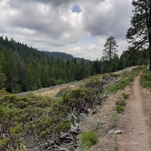 Pioneer National Recreation Trail (CA), photo by Ben Mitchell