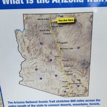 Art Brody - Arizona Trail (AZ)