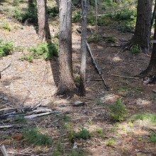 Jace Ives - Kalmiopsis Wilderness: Leach Memorial Loop (OR)
