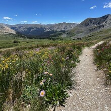 Brent Herring - Colorado Trail (CO)