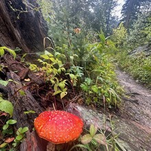 Brent Herring - Colorado Trail (CO)