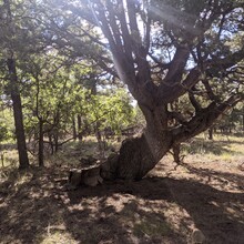 Matt Gabrenya - Flagstaff Loop Trail (AZ)