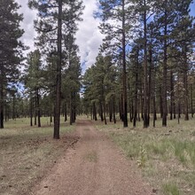 Matt Gabrenya - Flagstaff Loop Trail (AZ)