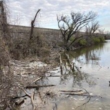 Elisabeth Chaput - Washington DC Boundary Stones (DC)