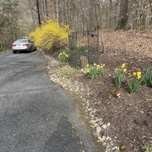 Elisabeth Chaput - Washington DC Boundary Stones (DC)