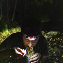 Cara Baskin - White Mountains 100 (NH)