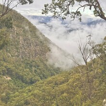 Louis Birks, Christopher Berry - Guy Fawkes River Wilderness Walk