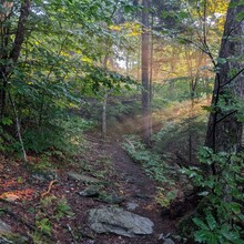 Austin Black - Hundred Mile Wilderness (ME)