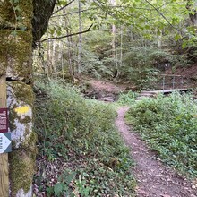 Guillaume Calais - Traversée du plateau du Forez (France)