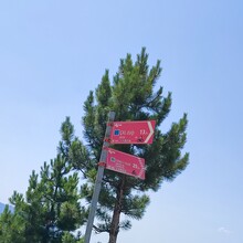 Furkan BAŞTÜRK - Mount Çal Loop (Türkiye)
