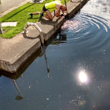 John Hammond - Forth and Clyde Canal Towpath (United Kingdom)