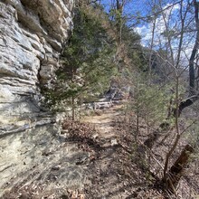 James Griffing - Buffalo River Trail (AR)