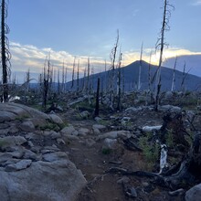 Renee Miller - Pacific Crest Trail through OR (OR)