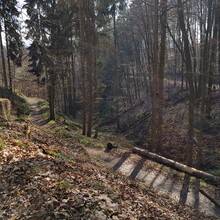 Joachim Hoelzl - Rundweg Odenwald Trailrun (Germany)