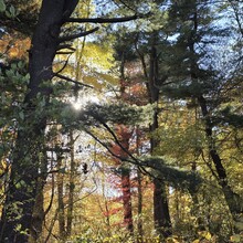 Rami Haddad, Juliana Castrillón - Blue Heron Trail (MA)