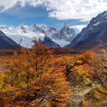 Tito Nazar - Classic Circuit Fitz Roy: Mirador Cerro Torre + Laguna de los Tres + Laguna Madre Hija + Laguna Capri