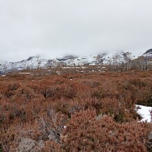 Angus Tolson - Overland Track