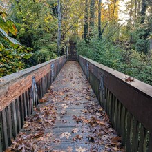 Kevin Lei - Seattle Olmsted 50k