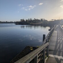 Kevin Lei - Seattle Olmsted 50k