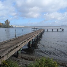 Kevin Lei - Seattle Olmsted 50k