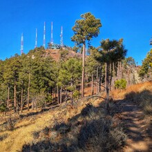 Steven Terry - Arizona Trail Santa Catalina Loop