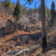 Steven Terry - Arizona Trail Santa Catalina Loop