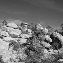 Steven Terry - Arizona Trail Santa Catalina Loop