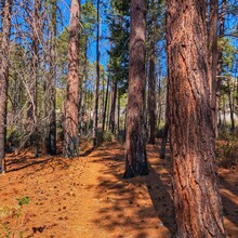Steven Terry - Arizona Trail Santa Catalina Loop