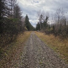 Robert Santoro - Run Across Minnesota (MN)